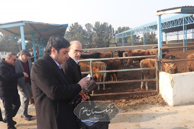 امنیت غذایی 10